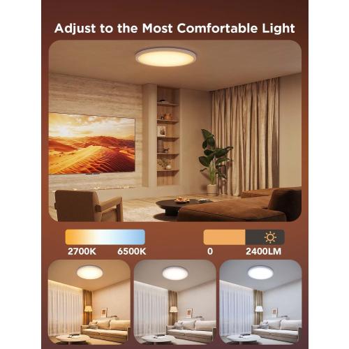 Govee Smart Ceiling Light, RGBIC LED Ceiling Light Fixture, 2400LM Flush Mount Light Fixture, DIY Colors, Works with Matter Alexa, 2700K-6500K Lights for Bedroom, Living Room,12 Inch, 1 Pack (White)