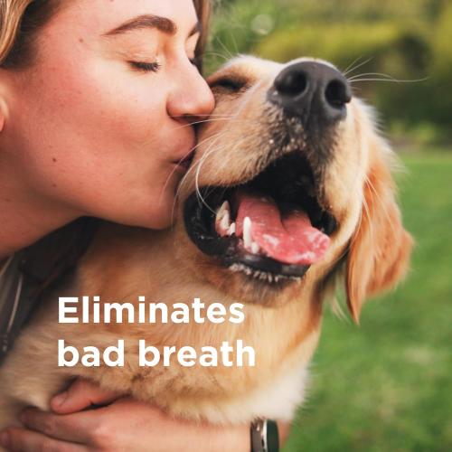 Wondercide Rescue - Oral Spray for Dogs and Cats – Freshens Breath, Soothes Gums, Alcohol Free Daily Dental Care with Pure Hypochlorous – 8.5 oz