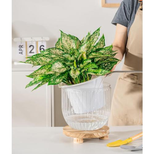 Melphoe Self Watering Pots for Indoor Plants Planter, 8.3/5.3 Inch 2 Pack Planters Self Watering Plant Pots for Flower, Houseplants, Succulent, African Violets and Cactus with Drainage