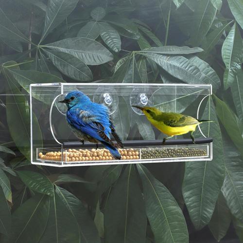 Window Bird Feeders with Strong Suction Cups 12x4x5in Acrylic Clear Bird Feeders for Window Viewing Easy-to-Clean Birdhouse Feeder