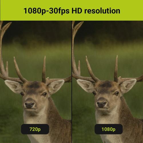 TACTACAM Solo WiFi Hunting Action Camera - Hunter Package - Includes Bow Stabilizer, Gun Mount and Under Scope Rail Mount