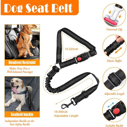 No Pull Dog Harness, Collar & Leash Set | Includes Dog Seat Belt, Collapsible Bowls & Poop Bag Dispenser. Ideal for Training, Walking, Hiking. Fits Small to Large Dogs(Blue-XL)