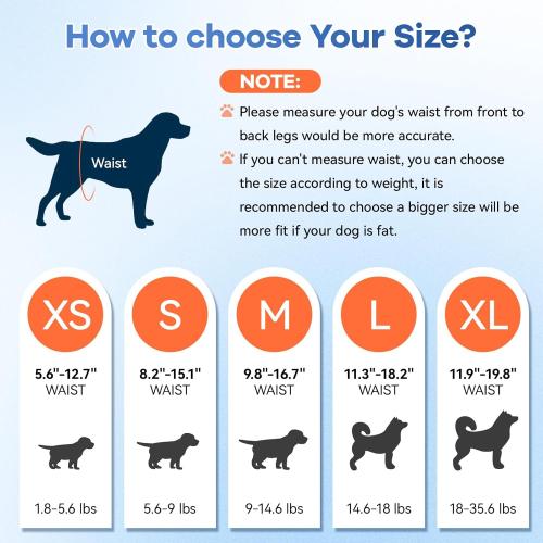 Disposable Dog Diapers Count Absorbent Soft Puppy Doggie Diapers for Female Dogs with Stretchy Waist Puppy Diaper in Heat Period Excitable Urination (L 30PCS)