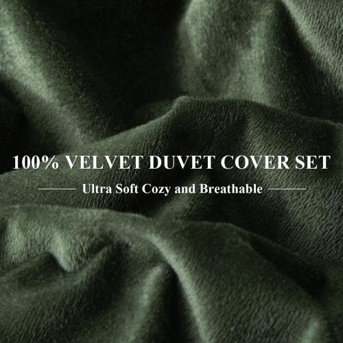Size Queen Color Green Ivellow Velvet Duvet Cover Queen Set Dark Green Comforter Cover 3Pcs Ultra Soft Cover Breathable Solid Luxury Flannel Velour Duvet Cover Zipper Closure Corner Tie
