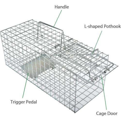 Heavy Duty Humane Live Animal Cage Trap for Squirrels, Weasels and Similar-Size Rodents - 17” x 7” x 7”