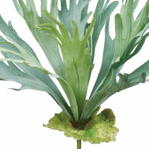 Asuka Artificial Flower Stag Horn Green Total Length: Approx. 21.7 inches (55 cm), Width: Approx. 23.6 inches (60 cm), A-44125-051A