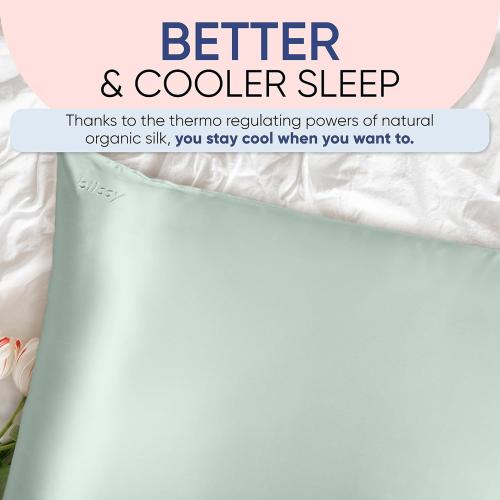 Blissy Silk Pillowcase - 100% Pure Mulberry Silk - 22 Momme 6A High-Grade Fibers - Silk Pillow Cover for Hair & Skin - Regular, Queen & King (Color White, Standard)