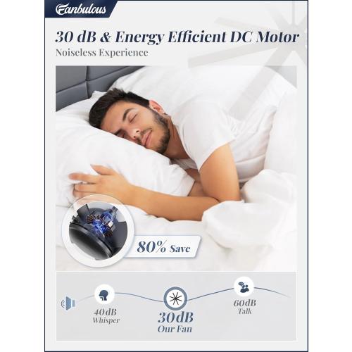 72 Inch Ceiling Fan no Light, Black Ceiling Fan with Remote, 6-Speeds, Quiet Reversible DC Motor, Industrial Ceiling Fans without Lights for Living Room, Garage, Patio, Indoor/Outdoor Use