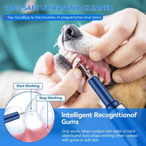 Pet Ultrasonic Tooth Cleaner Dental Tools Cleaning Kit for Teeth Stains for Dogs & Cats with 5 Modes,Blue
