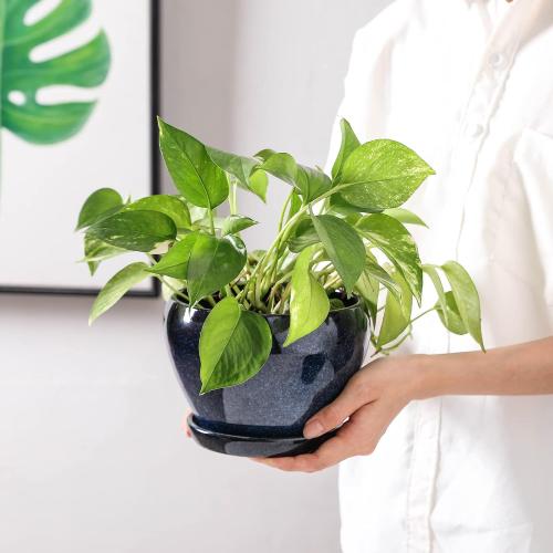 vicrays Ceramic Plant Pots Indoor - 6.5 Inch Planter Pot with Drainage Hole and Saucer for Succulent Orchid Flower Herbs Cactus - Ideal for Gardening Home Desktop Office Decor - Blue