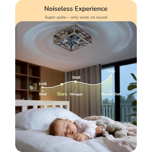 EDISHINE Caged Ceiling Fans with Lights Flush Mount, Rustic Square Low Profile Enclosed Fan Ceiling with Remote, 2/4 H Timer, Reversible 6 Speed, Farmhouse Small Fan for Bedroom, Kitchen, Dining Room