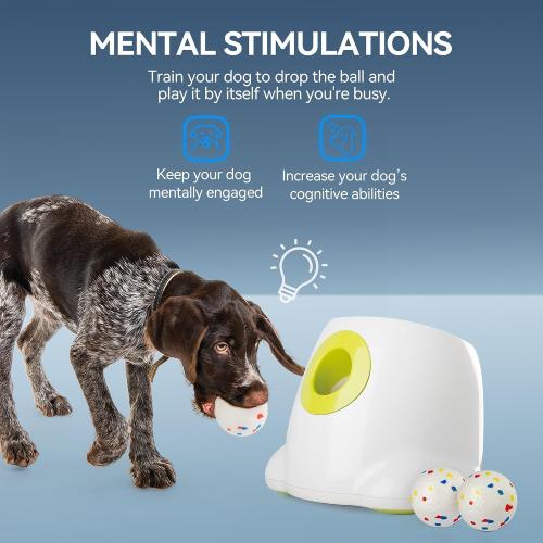ALL FOR PAWS Automatic Ball Launcher for Dogs, Interactive Puppy Pet Balls Outdoor Thrower for Medium to Large Dogs, Ball Throwing Machine for Dogs, 6 ETPU Balls Included(2.5), Rechargeable Battery