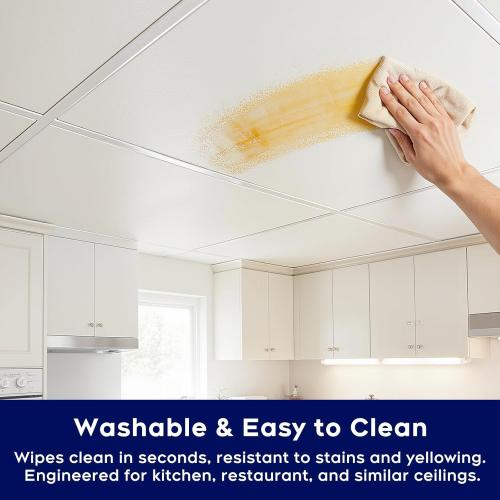 Premium PVC Smooth Drop Ceiling Tiles 2ft x 4ft - Waterproof, Fire-Rated, Washable, Drop in Installation - No Rot, No Sag, 10-Pack Cover 80 Sq. Ft, White