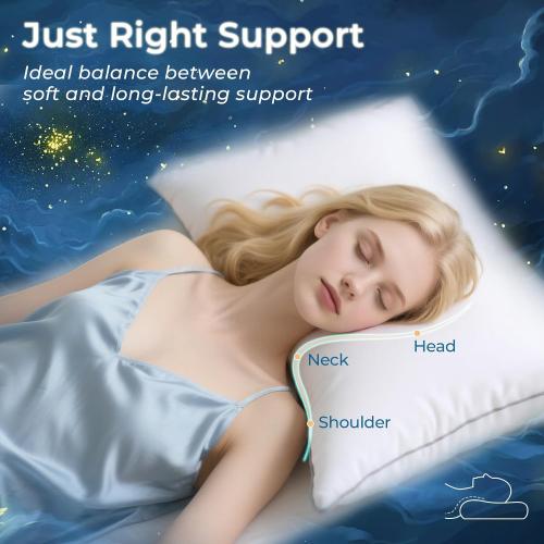 King Pillow - Set of 2 King Size, 20x34 Inches