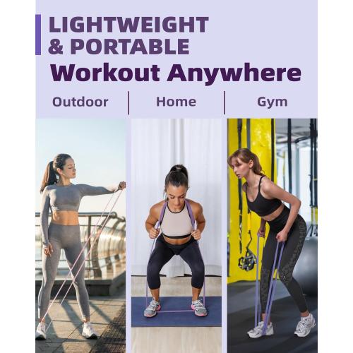 Resistance Bands Set - Pull Up Bands for Men Women, Exercise Bands Resistance with Door Anchor, Training Poster & Pouch for Body Stretching, Pull Up Assist