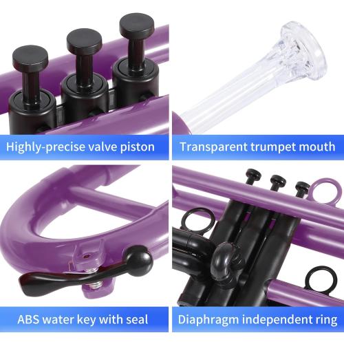 Professional Plastic Bb Trumpet Student Trumpet Set for Student Beginner With 7C Mouthpiece and 3C Mouthpiece Bb Trumpet Instrument Purple, PM160