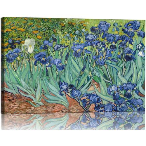 YRYWAWA Van Gogh Irises Canvas Wall Art Irises Flower Garden Canvas Art Prints Famous Oil Painting Reproduction Pictures Modern Floral Artwork Classic Decor for Living Room Bedroom Office Home Decor 24x36 inch