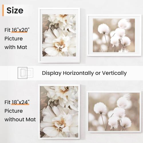18x24 inch Picture Frame, 18x24 Photo Frames with 16x20 Removable Mat - High Definition Plexiglass - Vertical and Horizontal Display - Wall Hanging Poster Frame - White, 3 Pack
