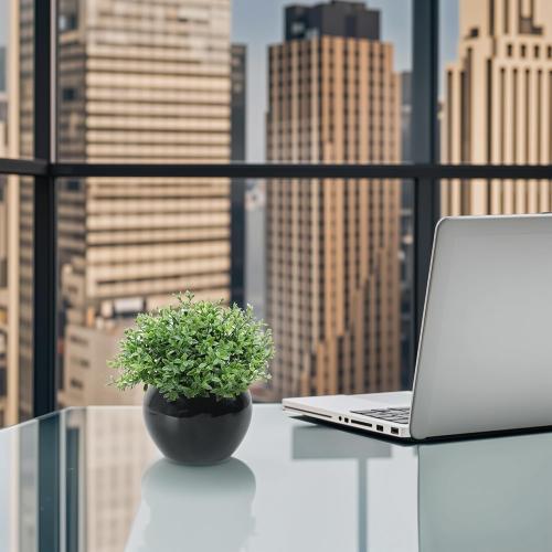 Velener Fake Sage Plants for Shelf Decor, Small Artificial Succulents Grass Desk Plant for Office Women, Mini Faux Plant Indoor, Masculine Home Decor, Coffee Table Decor, Bathroom Decor (2 Pack)