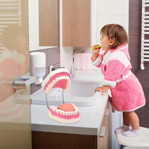 RONTEN Dental Teeth Care Model-Mouth Model for Speech Therapy, Enlarged 6 Times Standard Size, for Both Dental and Speech Therapy Training. Includes Matching Giant Toothbrush
