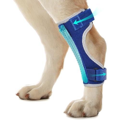 Dog Leg Braces for Back Leg- Hock and Ankle Joint Support Brace for Rear Legs with 2 Metal Strips, Reflective Edging for Sprain, Injury, Arthritis, Wound Recovery,Blue,L