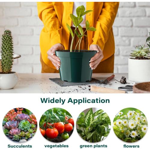 8 Inch Plastic Plant Pots, 15 Pack Sturdy Nursery Pots with Drainage Holes, Flower Planter Pots for Indoor Outdoor, Garden Containers Sets for Vegetable Herbs Flowers, Green