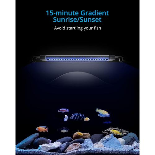 NICREW ClassicLED Gen 2 Aquarium Light, 40 Watts, Dimmable LED Fish Tank Light with 2-Channel Control, White and Blue LEDs, Size 48 to 60 Inch