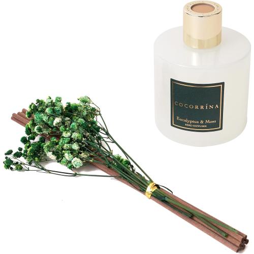 Cocorrína Reed Diffuser Sets- Eucalyptus & Moss Scented Diffuser with Sticks Home Fragrance Reed Diffuser for Bathroom Shelf Decor