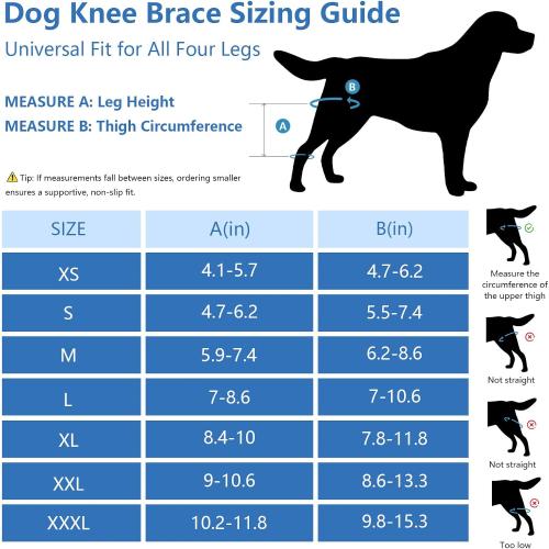 Dog Knee Brace for Torn Acl Hind Leg - Adjustable Stabilizing Support for Ccl Injury, Luxating Patella, Hind Leg Pain & Arthritis - Rear Leg Limp Support