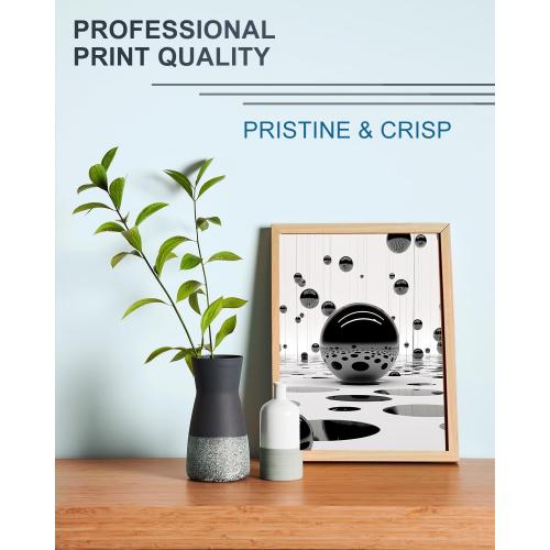 LEMERO 245XL Ink Cartridge Replacement for Canon 245XL Black Ink PG-245 245 XL Black Ink Cartridge Work with Canon Pixma MG2522 MG2500 MG2520 MX490 MX492 TR4520 TR4500 TS3322 TS202 Printer Ink (2Pack)