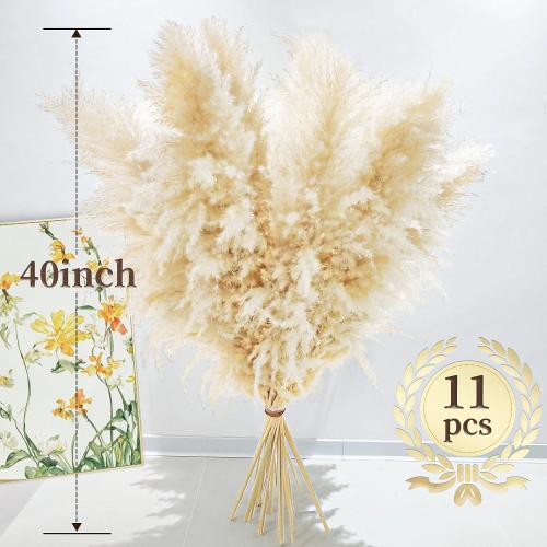 40 10 PCS Dried Pampas Grass Decor Tall,Large Natural Beige pompas Grass,Tall Pampas Grass for Floor Vase,Wedding,Party,Farmhouse,Boho Home Decor,and Creating a Bohemian Ambiance