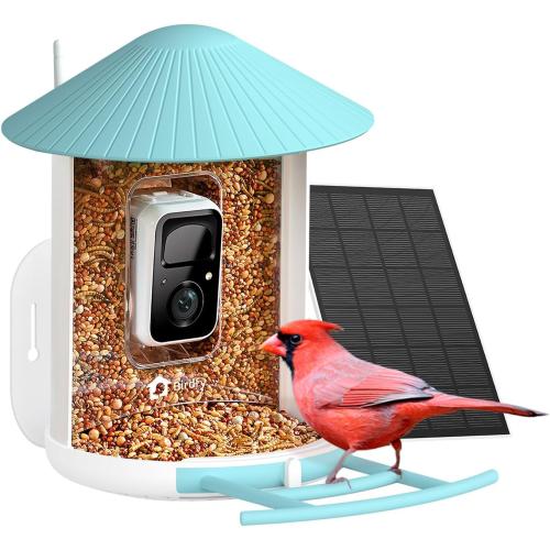 NETVUE by Birdfy Smart Bird Feeder with AI Camera Solar Powered, 2MP Wireless Wildbird Watching, Live Stream & Night Vision, Auto-Capture & Notify, Collection & Cloud Storage (AI by Subscription)