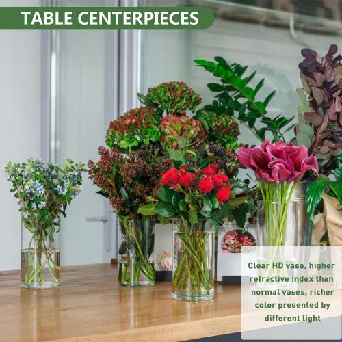 6 Inch Tall Glass Cylinder Vase for Table Centerpieces,Set of 6 Clear Glass Vases Bulk for Flowers Decor,Floating Candle,Wedding Favors(3.5 W X 6 H)