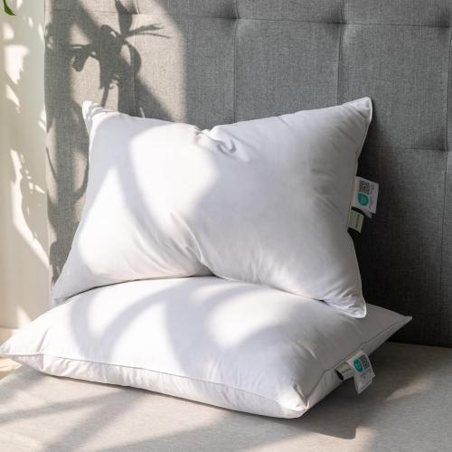 A Size Set of 2, Hotel Collection Fluffy sofa Pillows for Sleeping, 100% Cotton Cover Soft Pillow 22x22 2 Pack