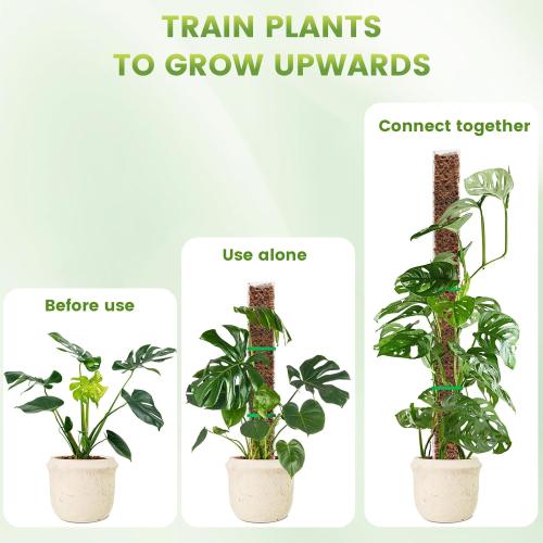 EOX Plastic Moss Pole for Monstera and Climbing Plants, 24-Inch, 4-Pack