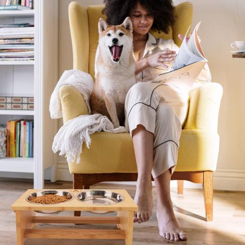 HTB Elevated Dog Bowls,Raised Dog Bowl Stand with 2 Stainless Steel Bowls,Elevated Raised Dog Bowls for Large Medium Small Sized Dogs