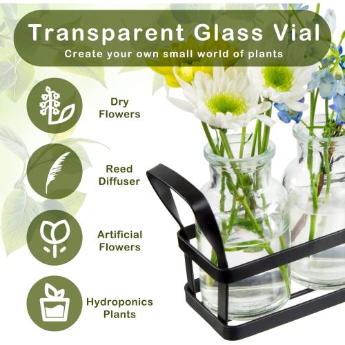 jkwokback Propagation Stations Indoor Decor Planters Terrarium with Stand,Propogation Planter Glass with 5 Air Plant Terrarium for House Plants Hydroponic Home Garden Office Decoration