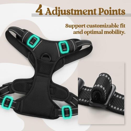 rabbitgoo Dog Harness No Pull with 2 Leash Clips, Adjustable Soft Padded, Reflective Oxford No Choke Pet Vest with Easy Control Handle for Small Dogs, Black, S