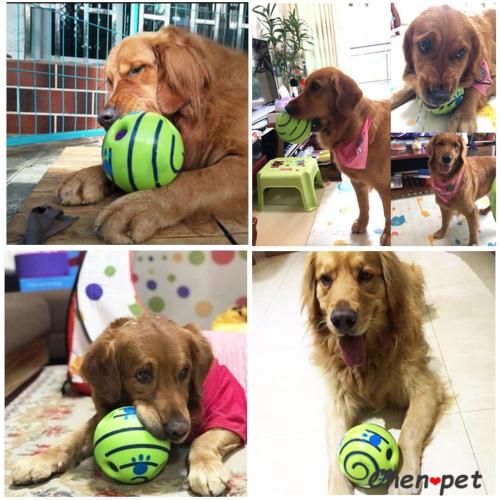 Squeaky Dog Toy Ball Dog Accessories Puppy Chew Toy Ball with Funny Sounds Dog Toys for Large Dogs Training Sport Toys