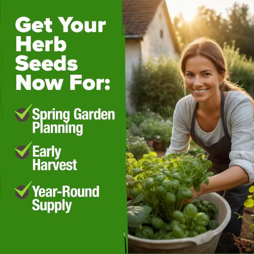 HOME GROWN 15 Herb Seeds for Planting 4,500  Non-GMO Heirloom Seeds | Extra Large Variety Pack Herb Kit – Indoor Outdoor & Hydroponic | Culinary Seed Set | Grow Your Own Herbs | Gardening Gift