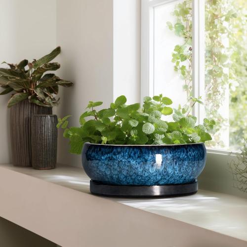 COLOR RED ❗❗Bonsai Pots - 13 Inch Ceramic Succulent Pots for Indoor Outdoor, Large Succulent Planter with Drainage Hole and Saucer, Round Shallow Flower Planters, Porch Decor, Gardening Gifts, Blue