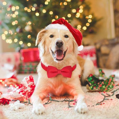 Malier Christmas Collar with Bow Tie - Classic Red Holiday Collars for Girls & Boys, Adjustable for Small to Large Dogs & Cats