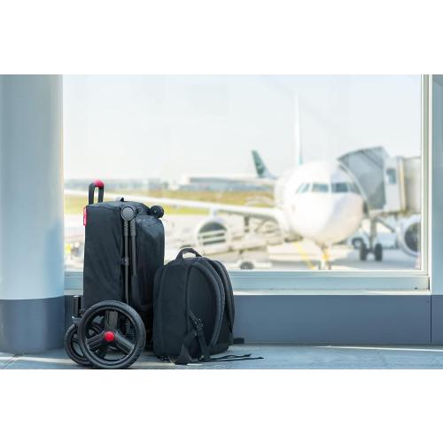 Radio Flyer Wagon for Kids, Baby Stroller, Outside Toys for Toddlers 1-3, Rolling Cart, Beach Cart with Wheels, Trav'ler Stroller Wagon with Protective Cover, for Ages 1  Years