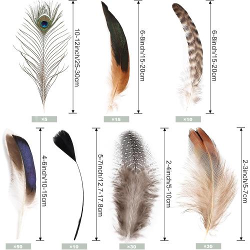 FeelfunFeather 150 pcs Natural Feathers Bulk- 7 Style Mixed Spotted Decorative Pheasant Feather Peacock Feather for DIY Crafts Halloween Wedding Party Hat Decoration
