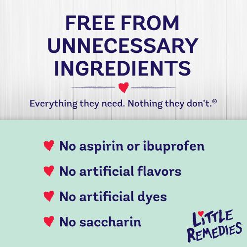 Little Remedies New Baby Essentials Kit with Saline Nasal Spray, Diaper Rash Cream, Gas Relief Drops, Gripe Water & More, Safe for Newborns