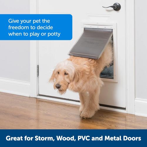 PetSafe Extreme Weather Plastic Pet Door, Medium