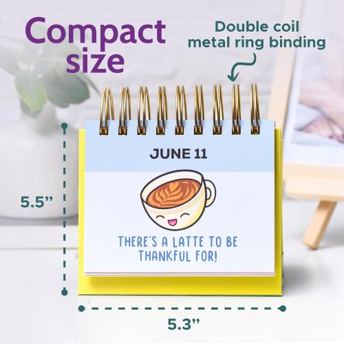 Green T MARIE Punny Motivational Desk Calendar - Daily Perpetual Calendar to Use Year after Year - Cute Office Decor, Positive Affirmation Gifts for Women and Men, Inspirational Desk Accessories