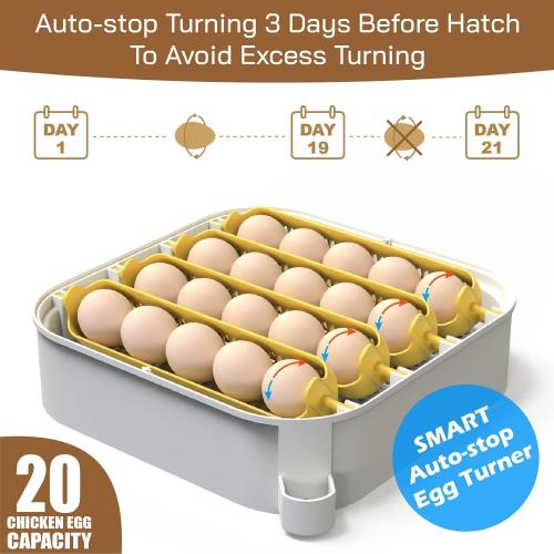MATICOOPX 20 Egg Incubator with Humidity Display, Egg Candler, Automatic Egg Turner, for Hatching Chickens
