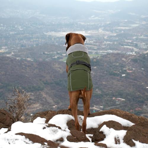 Lelepet Warm Dog Coat Reflective Fleece Vest Waterproof Dog Jacket with Adjustable Buckle Hook & Loop Windproof Cold Weather Coats for Dogs, Army Green, large