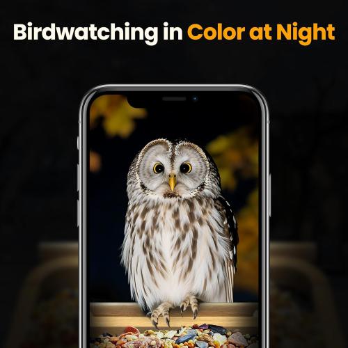 Bird Feeder with Camera, Smart Bamboo Bird Feeder, 2.5K UHD AI Identification, Real-time Videos & Pictures, Wireless Solar Powered Outdoor, Ideal for Garden Birding, Premium Present